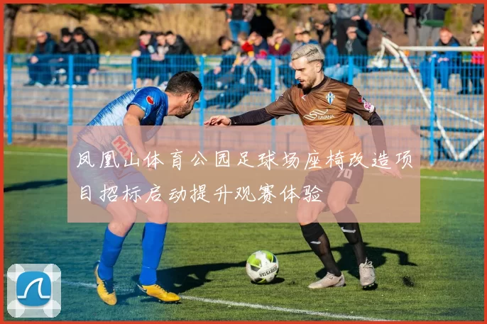 凤凰山体育公园足球场座椅改造项目招标启动提升观赛体验