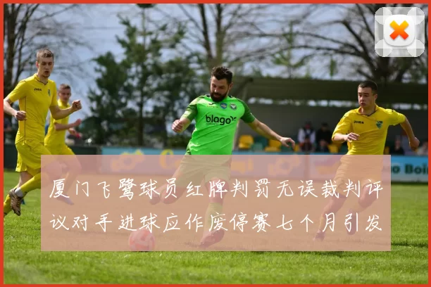 厦门飞鹭球员红牌判罚无误裁判评议对手进球应作废停赛七个月引发热议